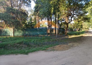 DR. ULIBARRIE Y M DE CERVANTES, SANTO TOME
